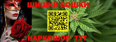 СК Лесосибирск