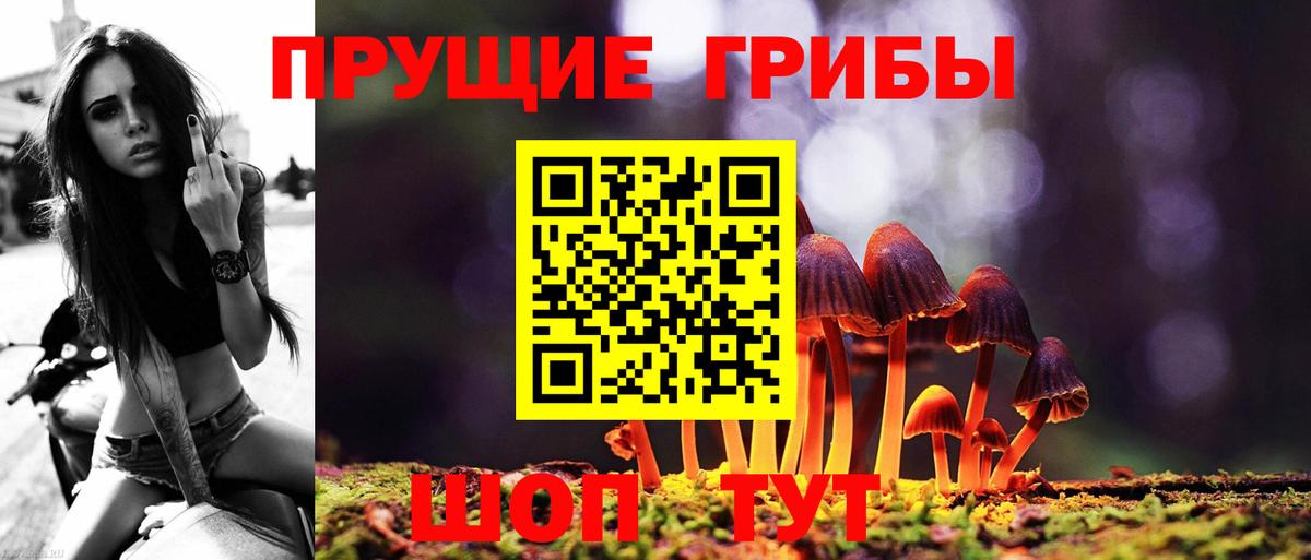 Псилоцибиновые грибы прущие грибы Ялуторовск